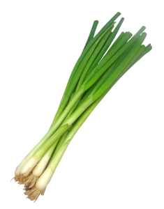 Scallion Bunch (aka: spring onions or green onions)