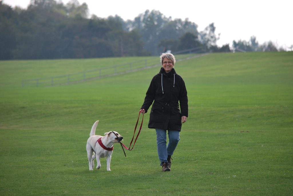 Woman walking dog in field